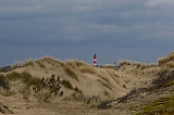 berck7692.JPG