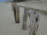 berck09337_41256986101_o.jpg