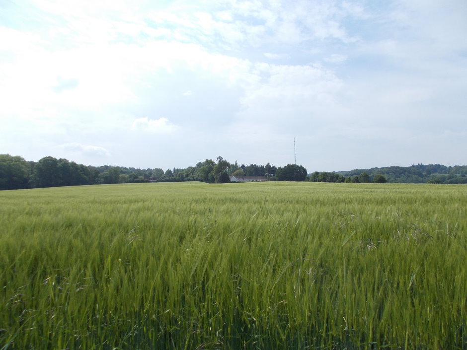 poperige0372.JPG