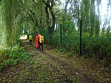 Du silex à la craie