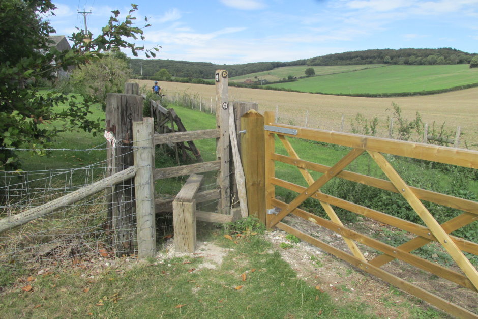 wye6530.JPG