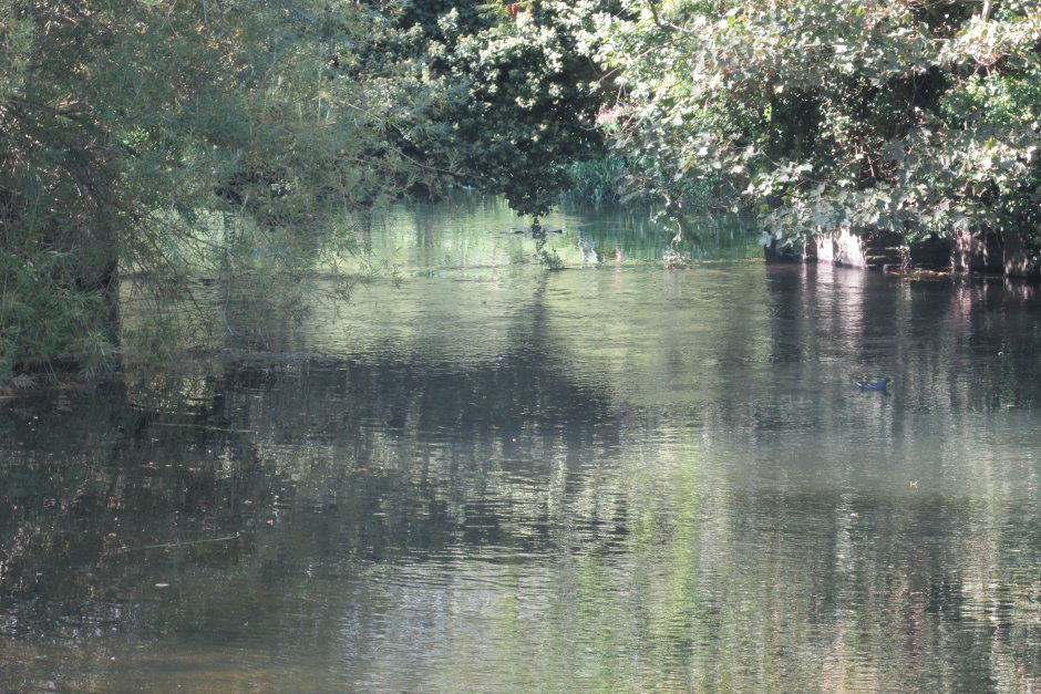 wye6774.JPG