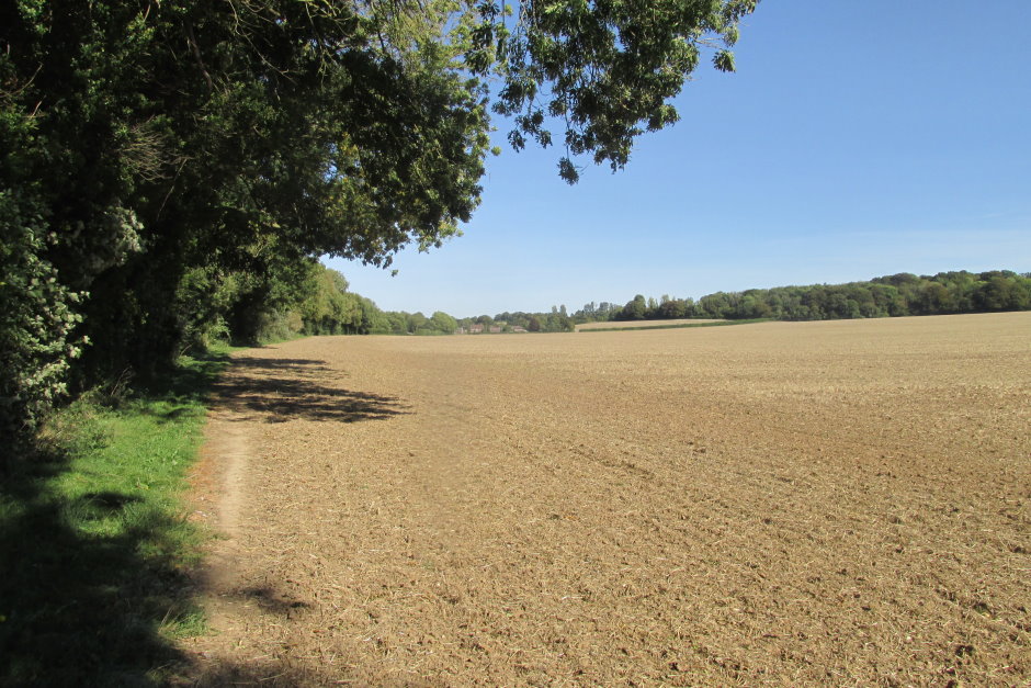 wye6776.JPG