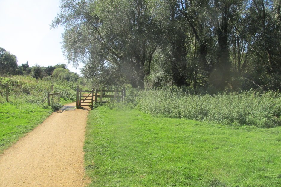 wye6777.JPG