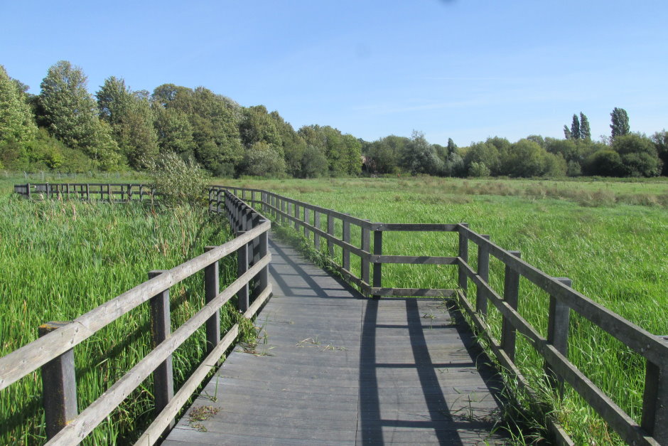 wye6779.JPG