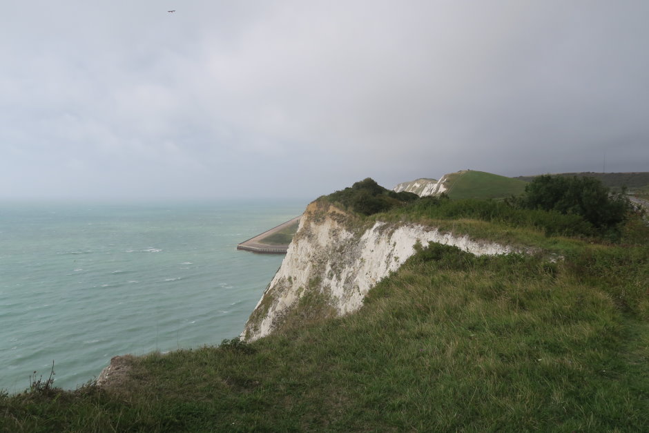 dover9472.JPG