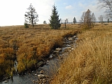 fagnes823.JPG