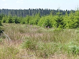 20180627Fagnes01.JPG