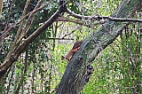 Presqu'une boucle dans la région bruxelloise (N°8)