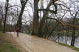 HortaFlagey0374.JPG