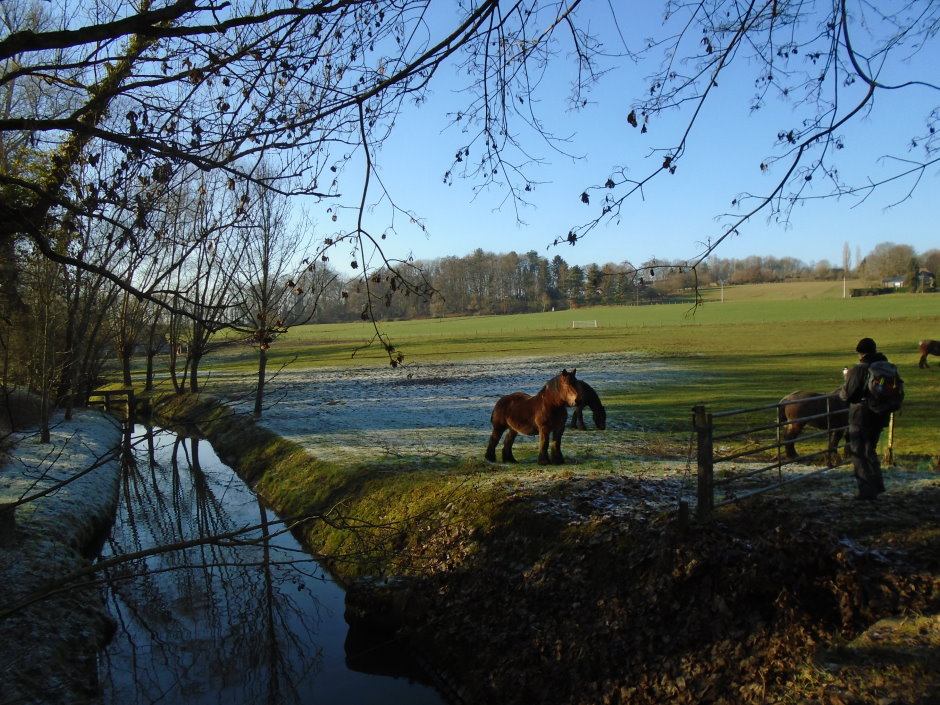 groenendael1308.JPG