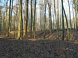 groenendael1295.JPG