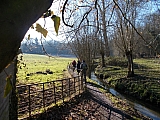 Groenendael à Halle