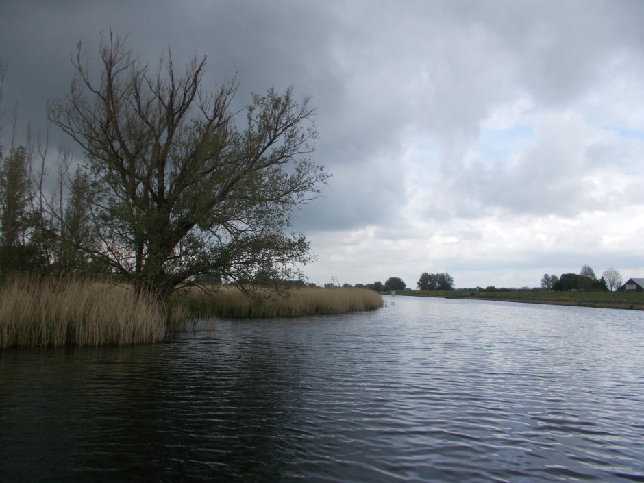 dordrecht198.JPG