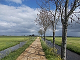 Dordrecht à vélo