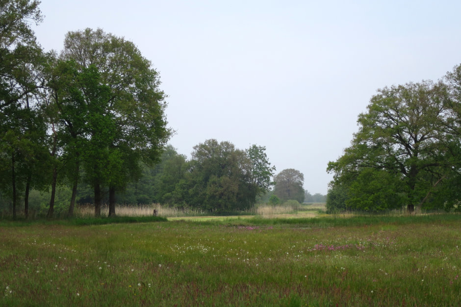 hoogstraten017.jpg