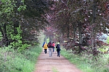 Hoogstraten à Turnhout