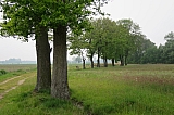 hoogstraten018.JPG