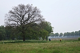 hoogstraten024.jpg