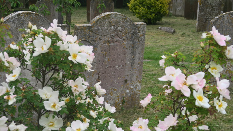 kent1987.JPG