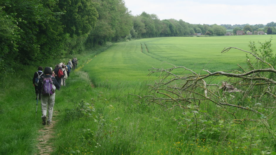 kent1999.JPG