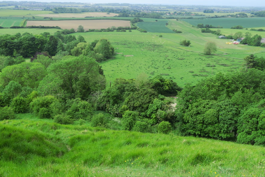 kent101334.JPG