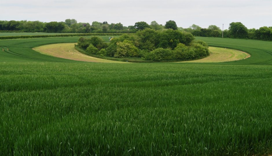 kent133153.JPG