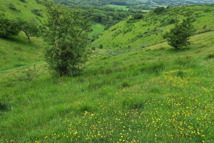 kent140353.JPG