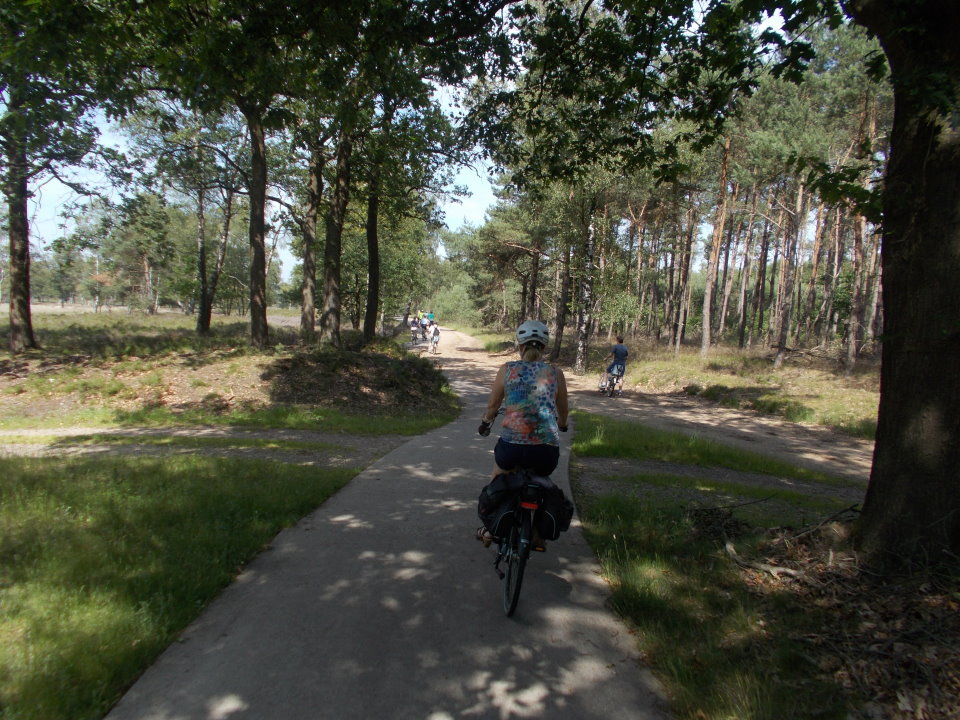 hoenderlooN0546.JPG