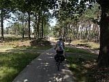 hoenderlooN0546.JPG