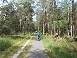 hoenderlooN0619.JPG