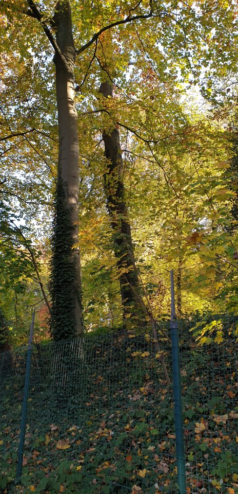 lawoluwe103106.jpg