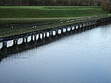 Braine l'Alleud à Lembeek