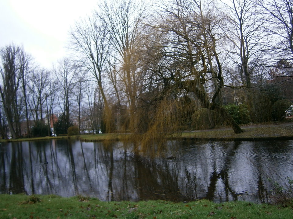 laeken096.jpg