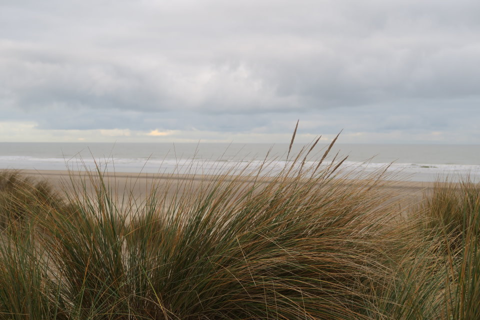 blankenberge607.jpg