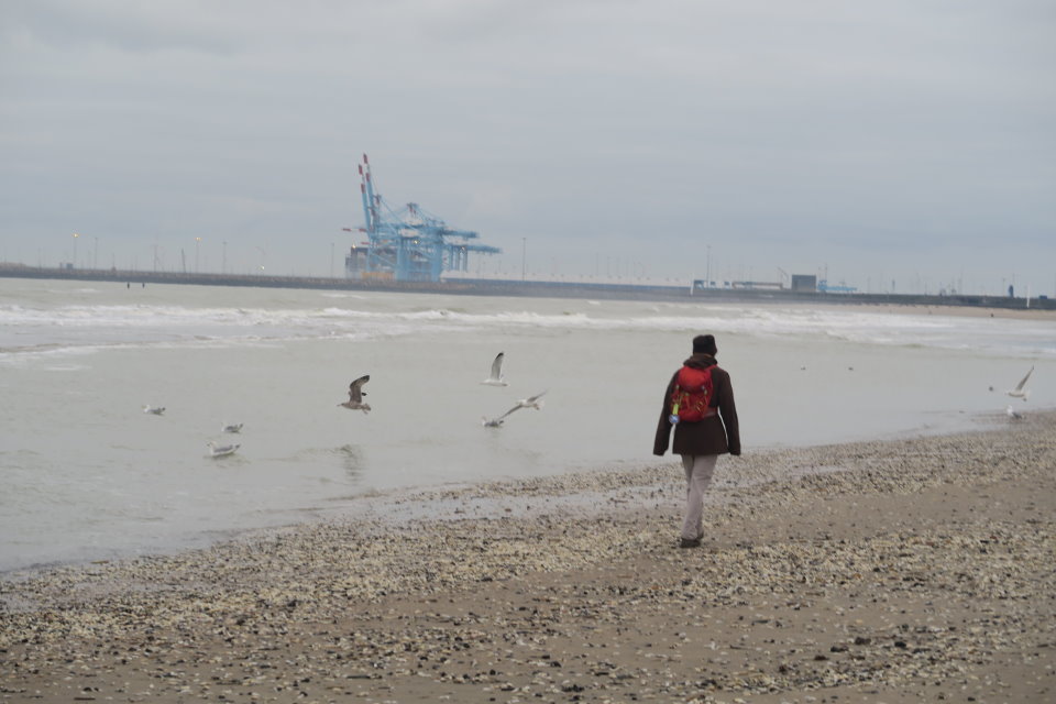 blankenberge611.jpg