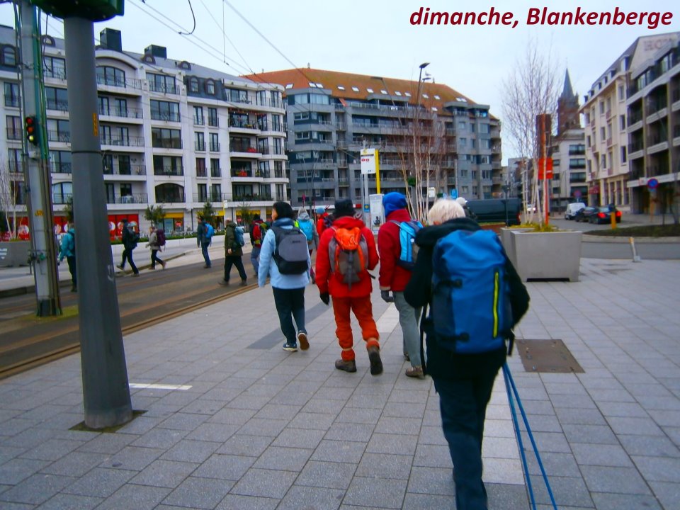 blankenberge101.jpg