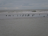 blankenberge121.jpg