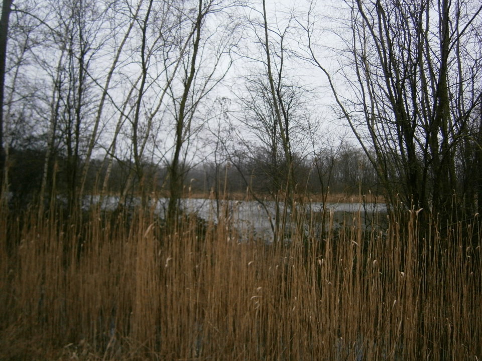 sintjorisweert30328.jpg