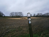 sintjorisweert30341.jpg