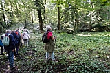 parc_walckiers961.jpg