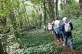 parc_walckiers963.jpg