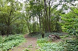 parc_walckiers982.jpg