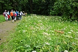 parc_walckiers987.jpg