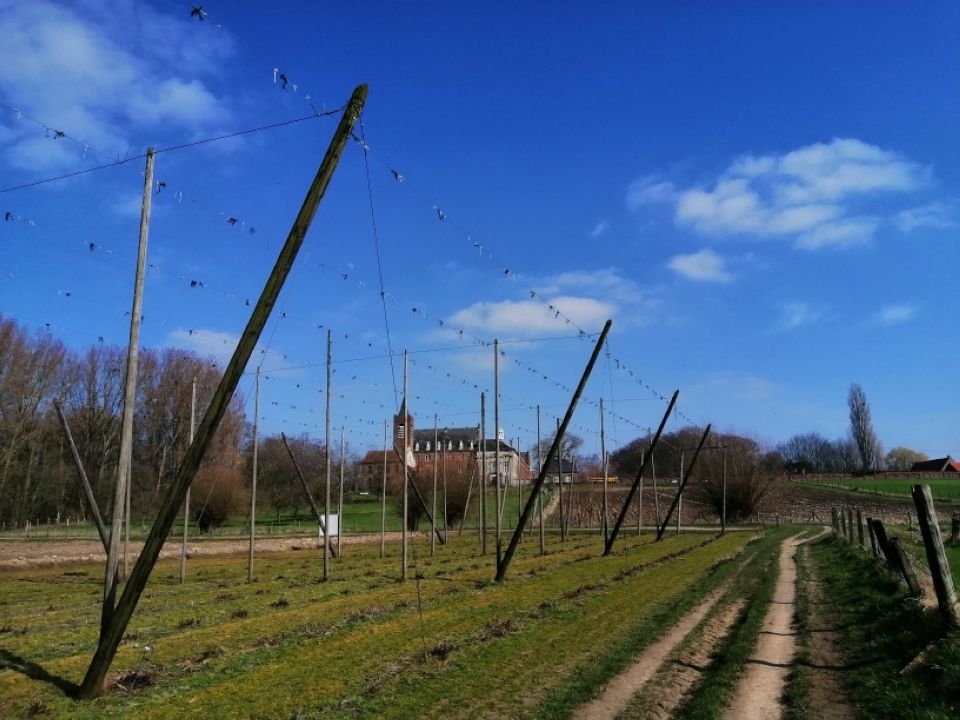 hekelgem10.jpg