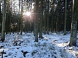 fagnes141116.jpg