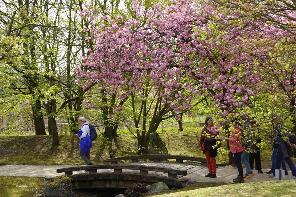 jardin_japonais8902.jpg