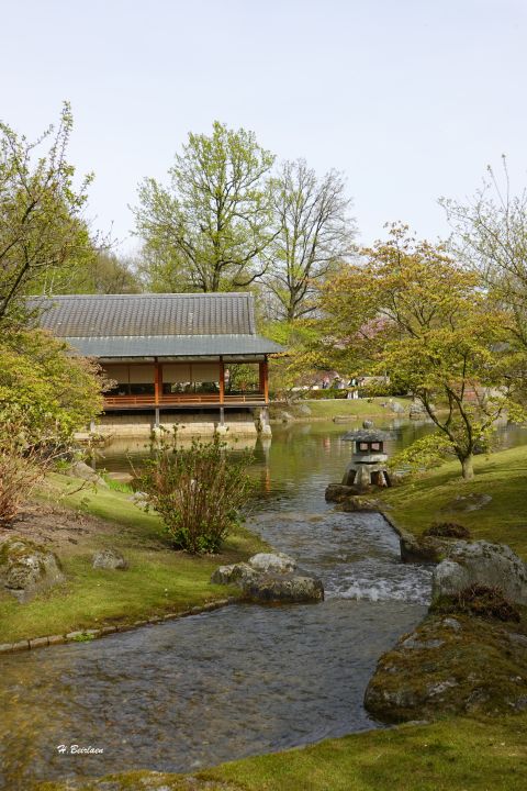 jardin_japonais8921.jpg