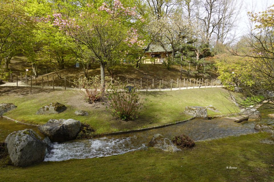 jardin_japonais8924.jpg