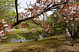 jardin_japonais8894.jpg